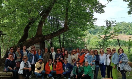 TYSD Kütahya Şubemiz Atatürk Eğitim Burslu Öğrencilerimiz Yararına Kültürel Gezi Düzenlemiştir